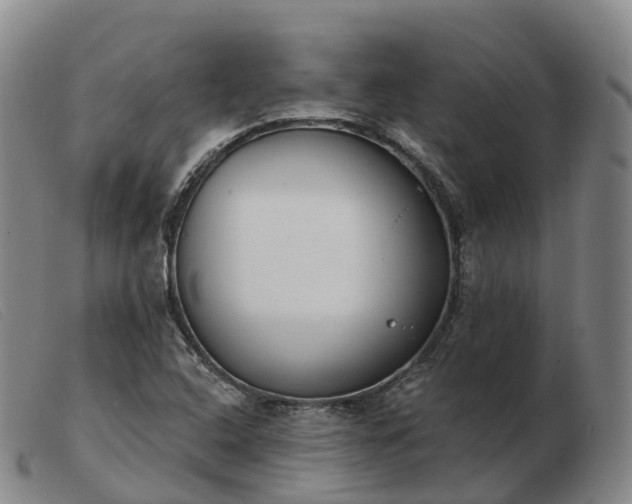X0000103461408200809191801