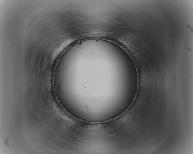 X0000103461410200809191801