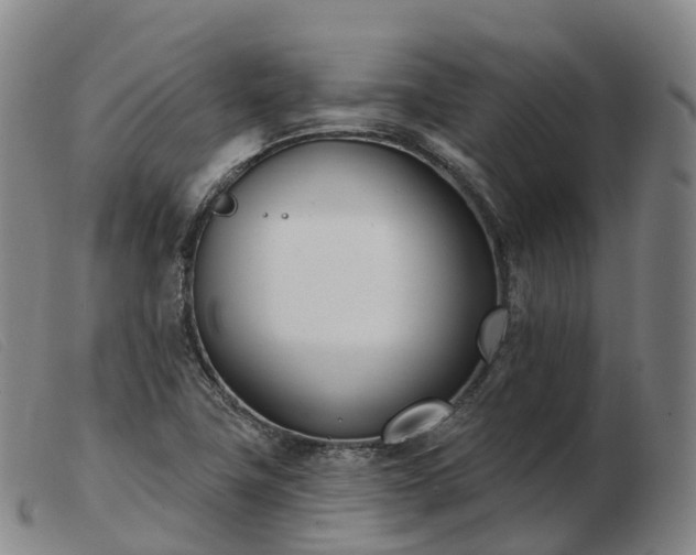 X0000103461411200809191801