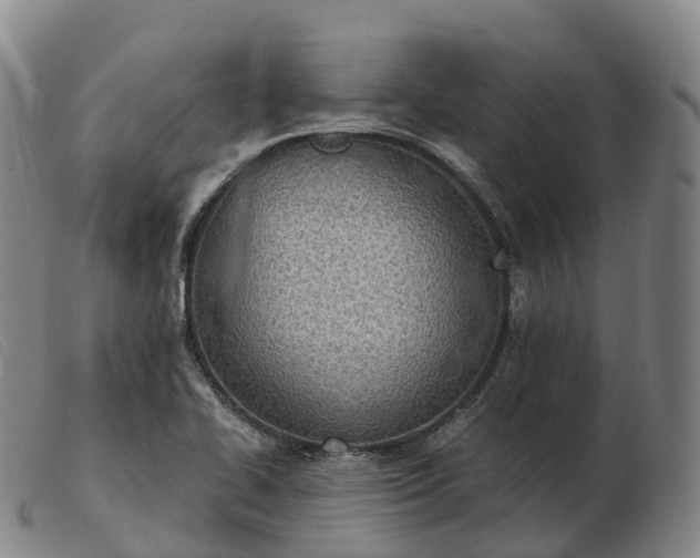 X0000103461414200809191801