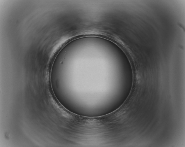 X0000103461416200809191801