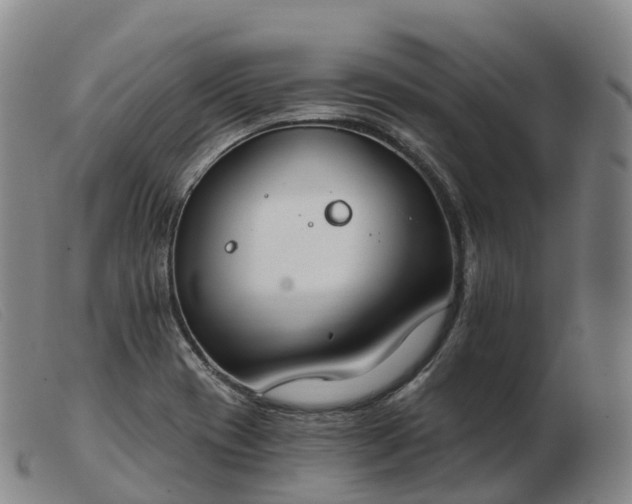 X0000103461417200809191801