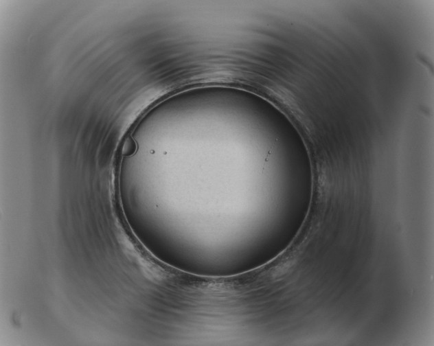 X0000103461418200809191801