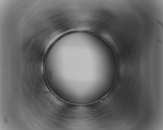 X0000103461420200809191801