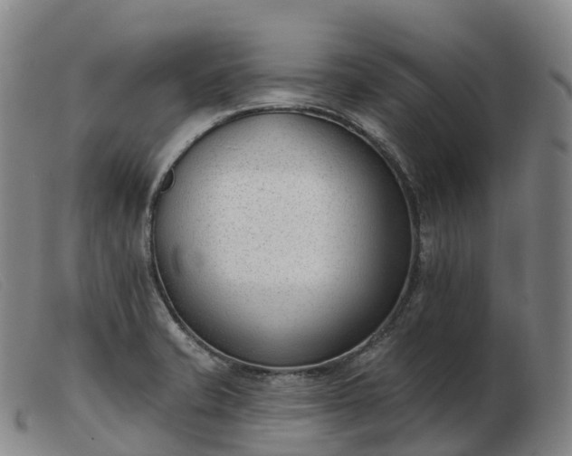 X0000103461421200809191801