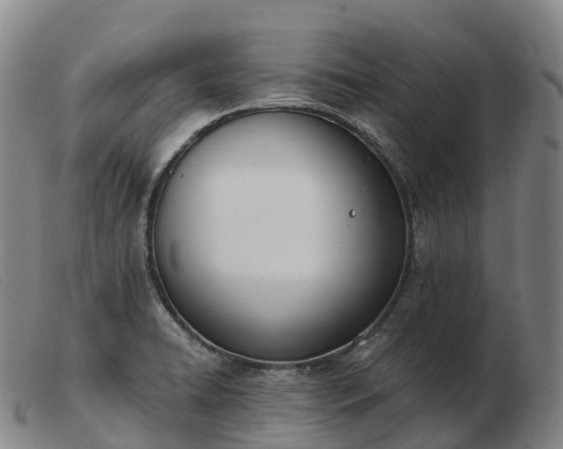 X0000103461422200809191801