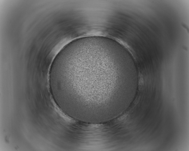 X0000103461423200809191801