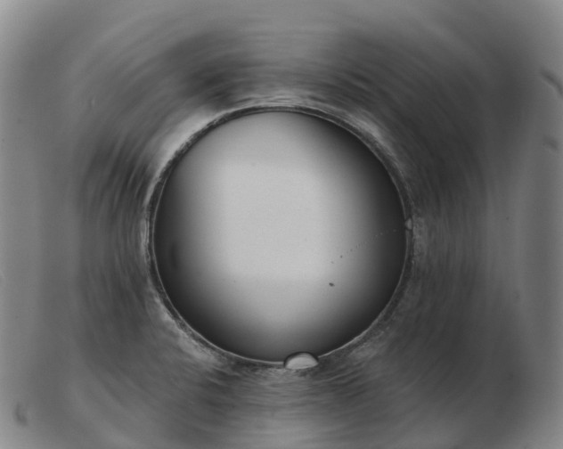 X0000103461424200809191801