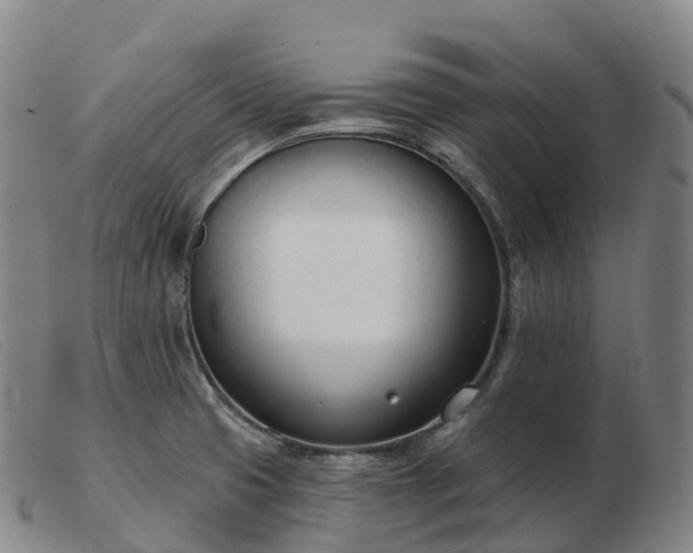 X0000103461425200809191801