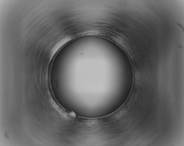X0000103461426200809191801