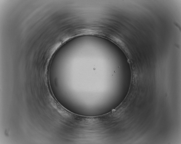 X0000103461427200809191801
