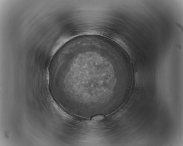 X0000103461428200809191801