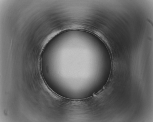 X0000103461429200809191801