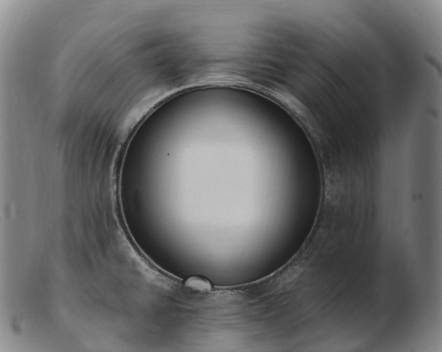 X0000103461430200809191801