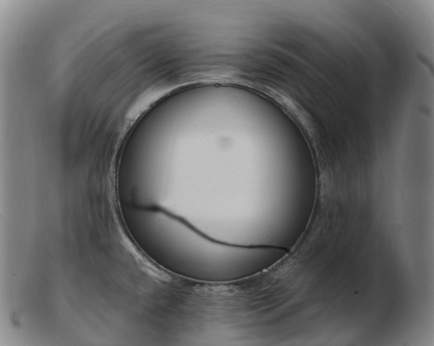 X0000103461432200809191801