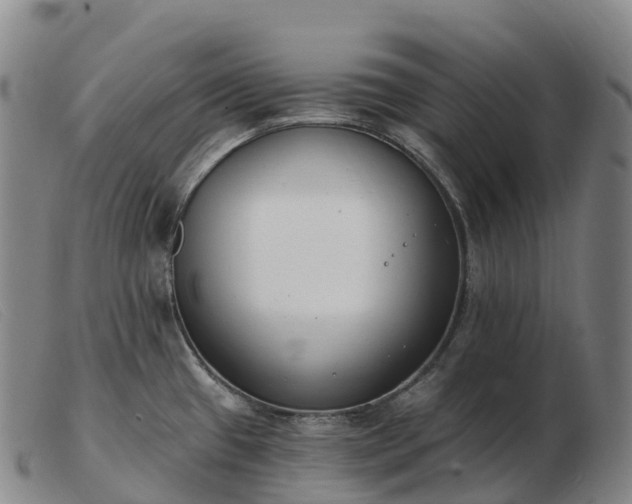 X0000103461433200809191801