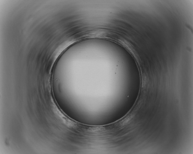 X0000103461434200809191801