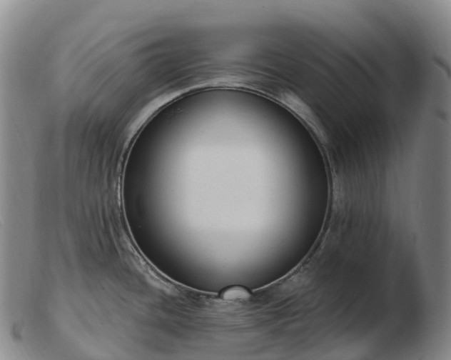 X0000103461436200809191801