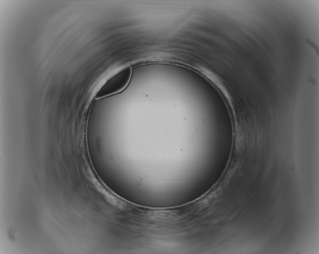 X0000103461437200809191801