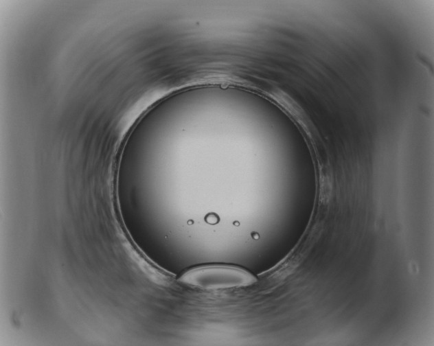 X0000103461438200809191801