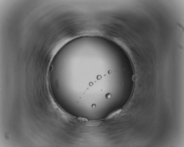 X0000103461440200809191801
