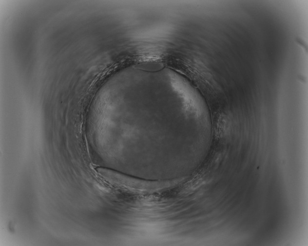 X0000103461441200809191800