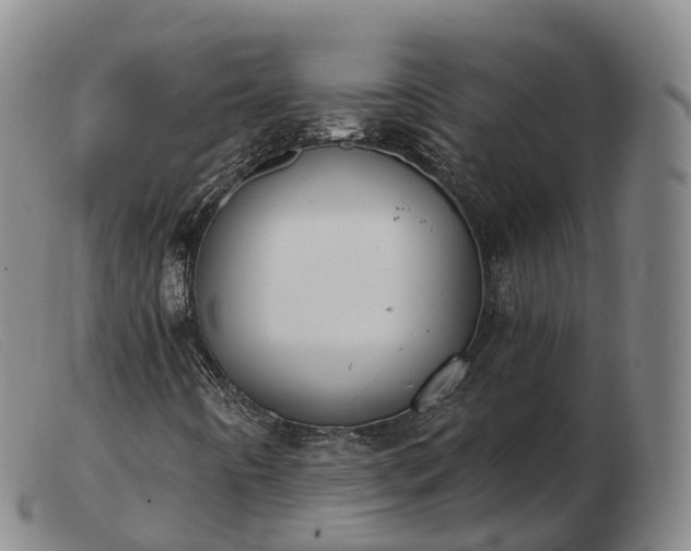 X0000103461442200809191800