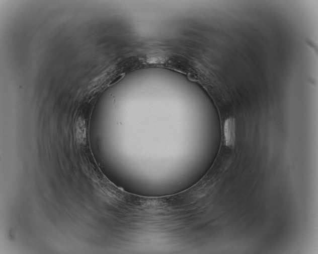 X0000103461443200809191800