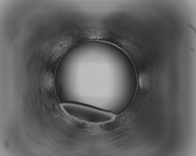 X0000103461444200809191800