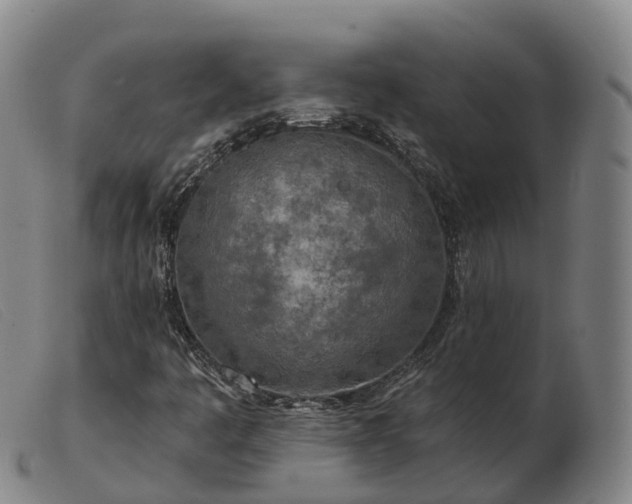 X0000103461445200809191800