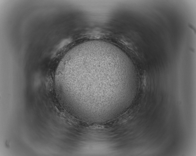 X0000103461446200809191800