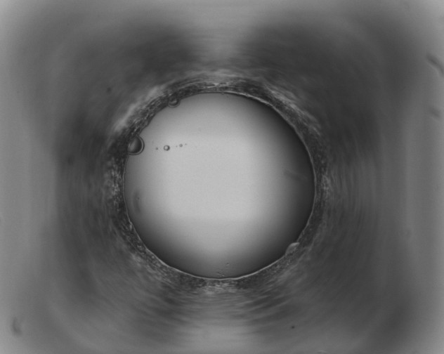 X0000103461447200809191800