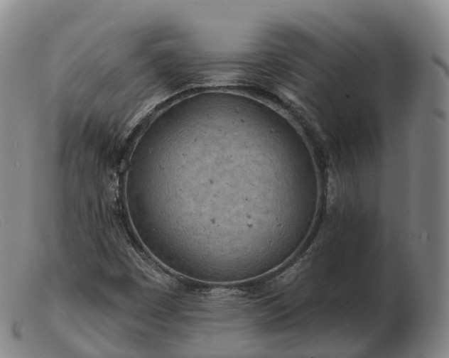 X0000103461449200809191800