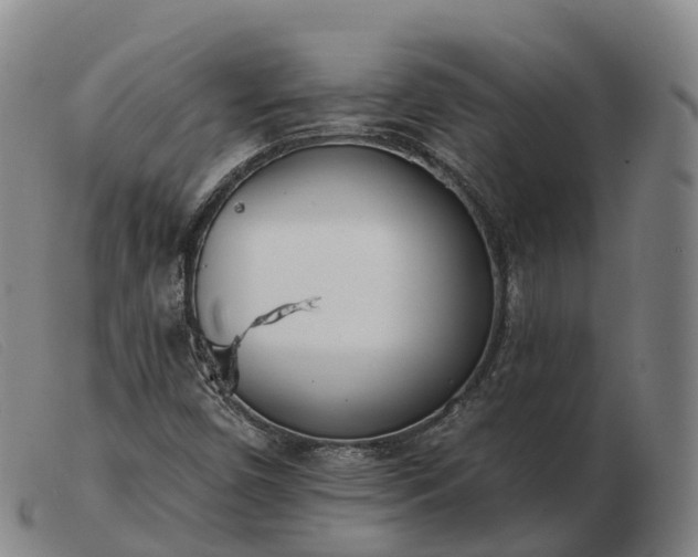 X0000103461450200809191800