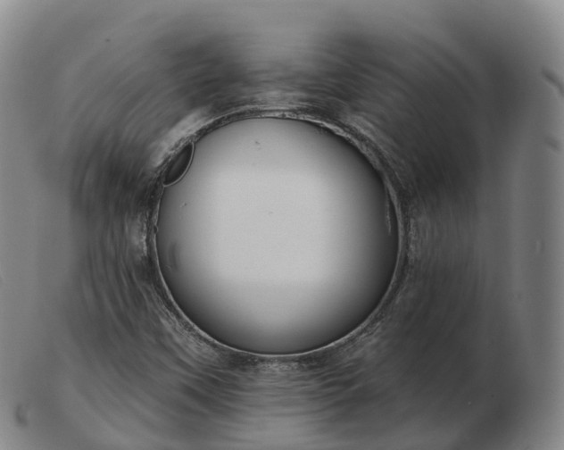 X0000103461451200809191800