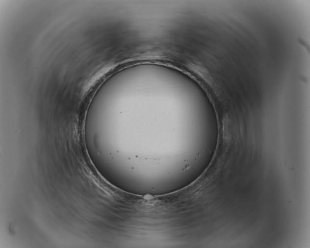 X0000103461452200809191800