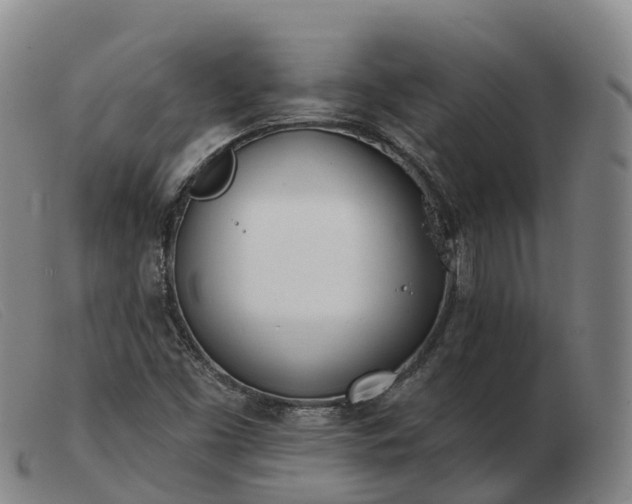 X0000103461453200809191800