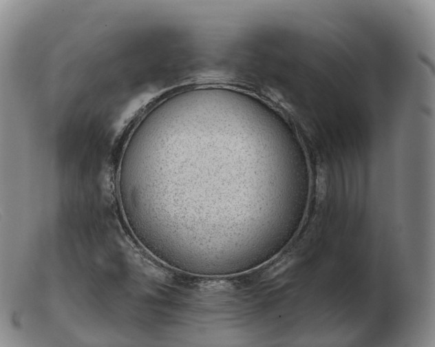 X0000103461454200809191800