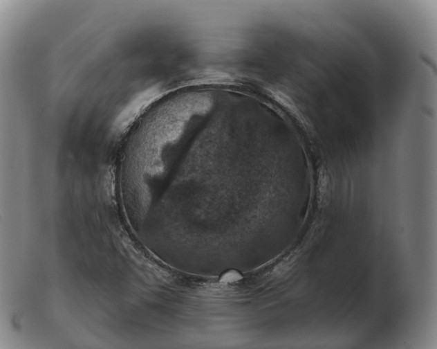 X0000103461455200809191800