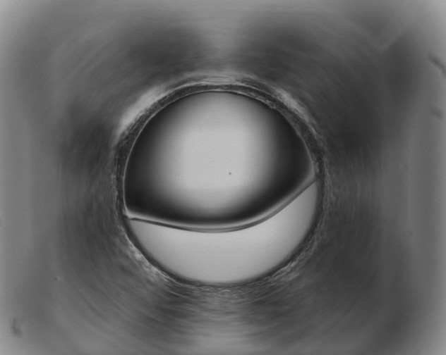 X0000103461456200809191800