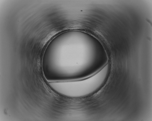 X0000103461457200809191800