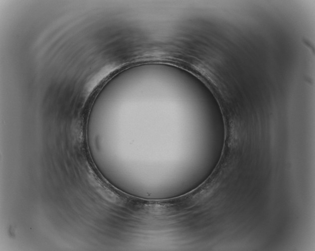 X0000103461458200809191800