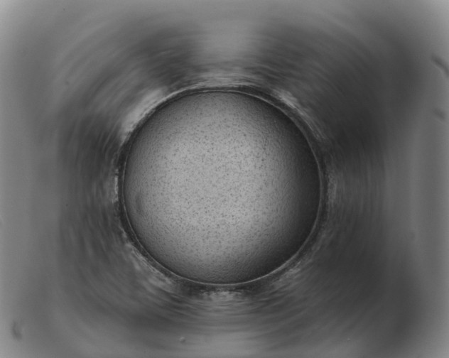 X0000103461459200809191800