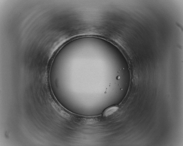 X0000103461460200809191800