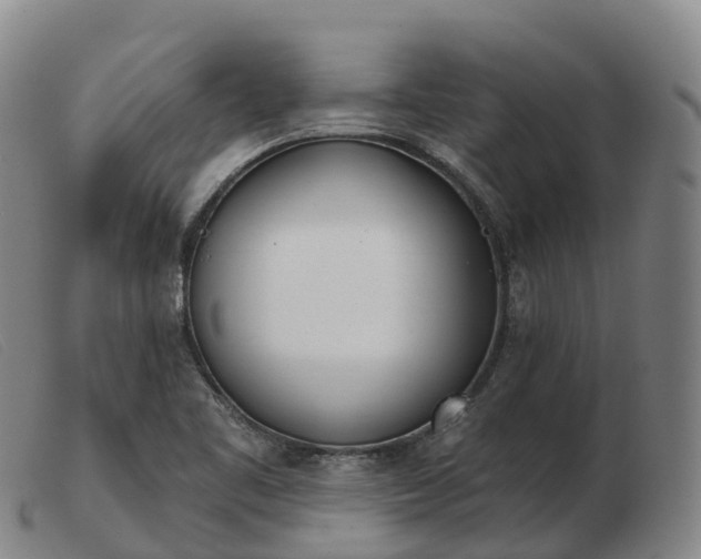 X0000103461461200809191800