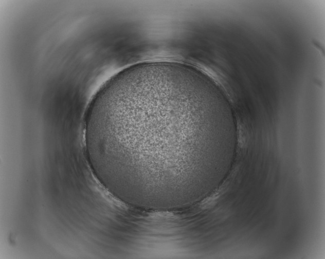X0000103461462200809191800