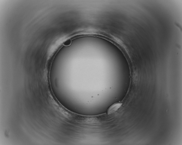 X0000103461464200809191800