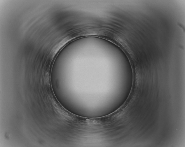 X0000103461465200809191800