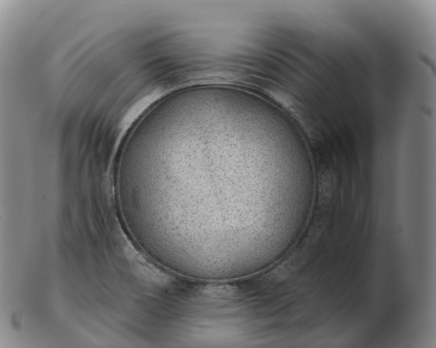 X0000103461466200809191800