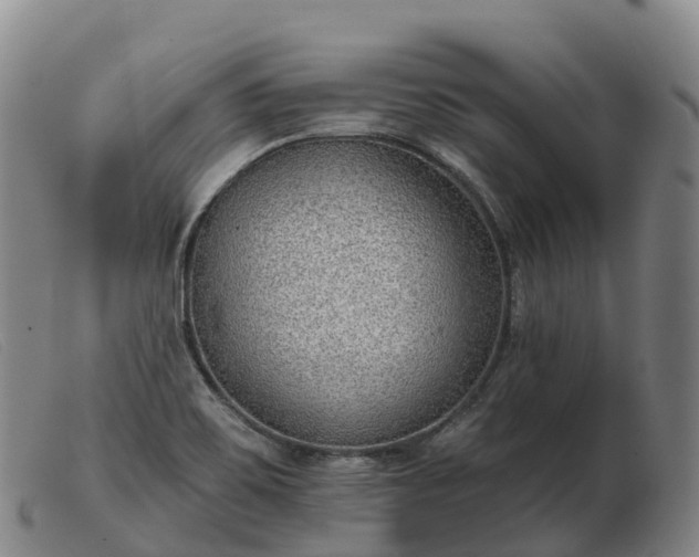 X0000103461467200809191800